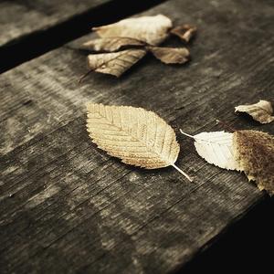 《高潮3》hd未删减在线吗免费观看
